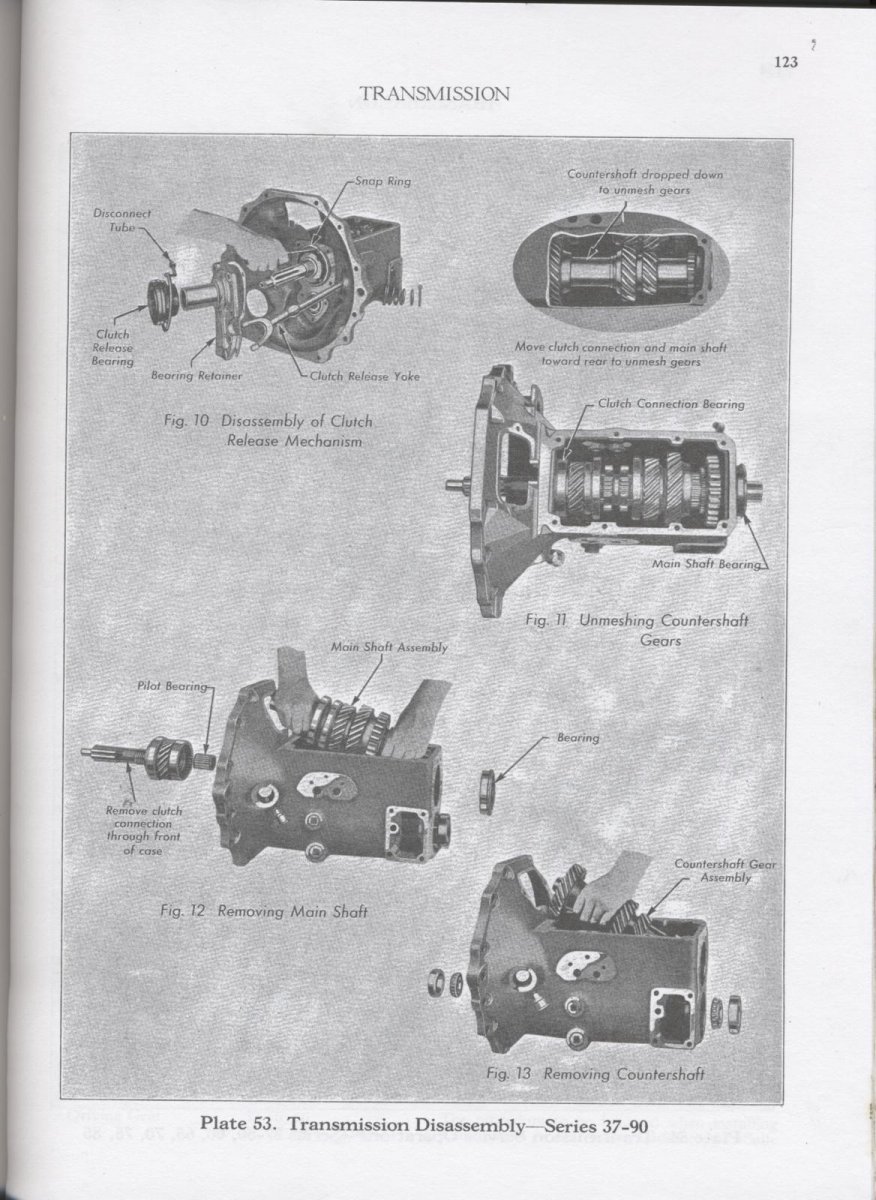 page 123.jpg