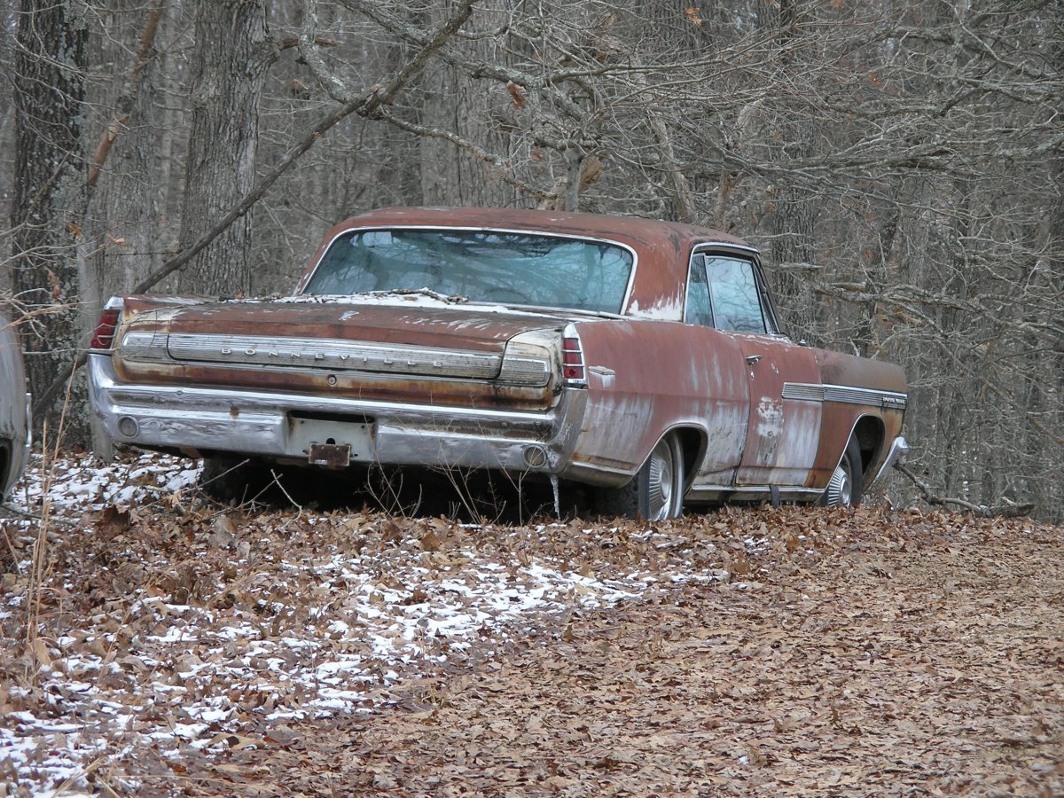PC260101.JPG