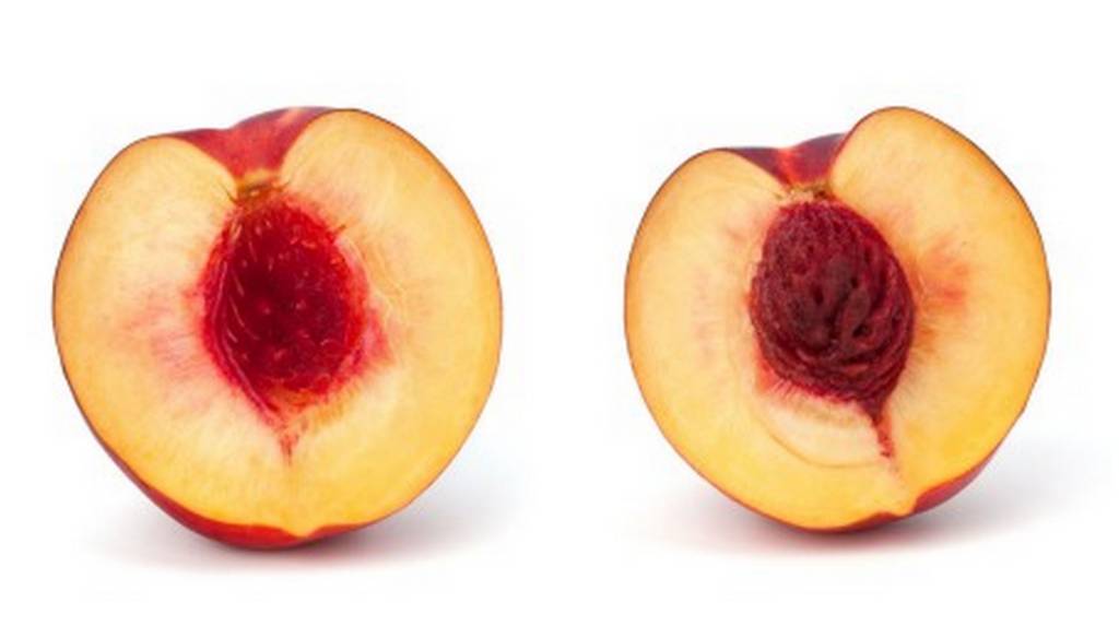 peaches.jpeg
