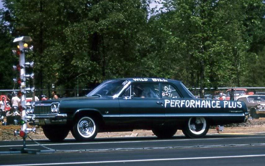 performance plus old tree.JPG