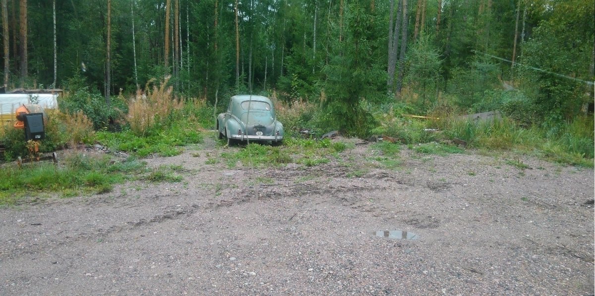 peugeot 203 1958.jpg