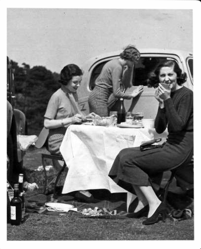 picnic.png