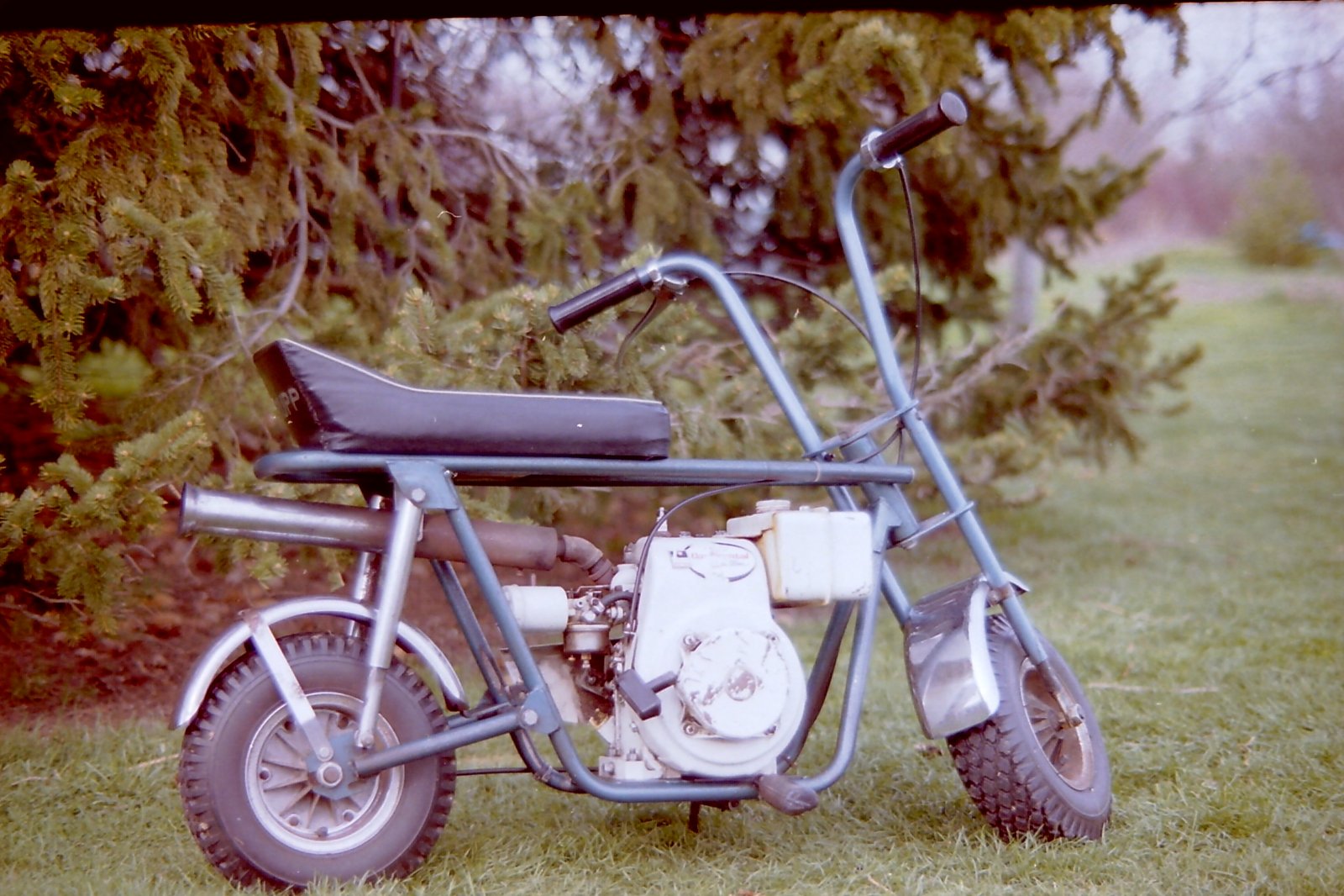 PICT7993.JPG