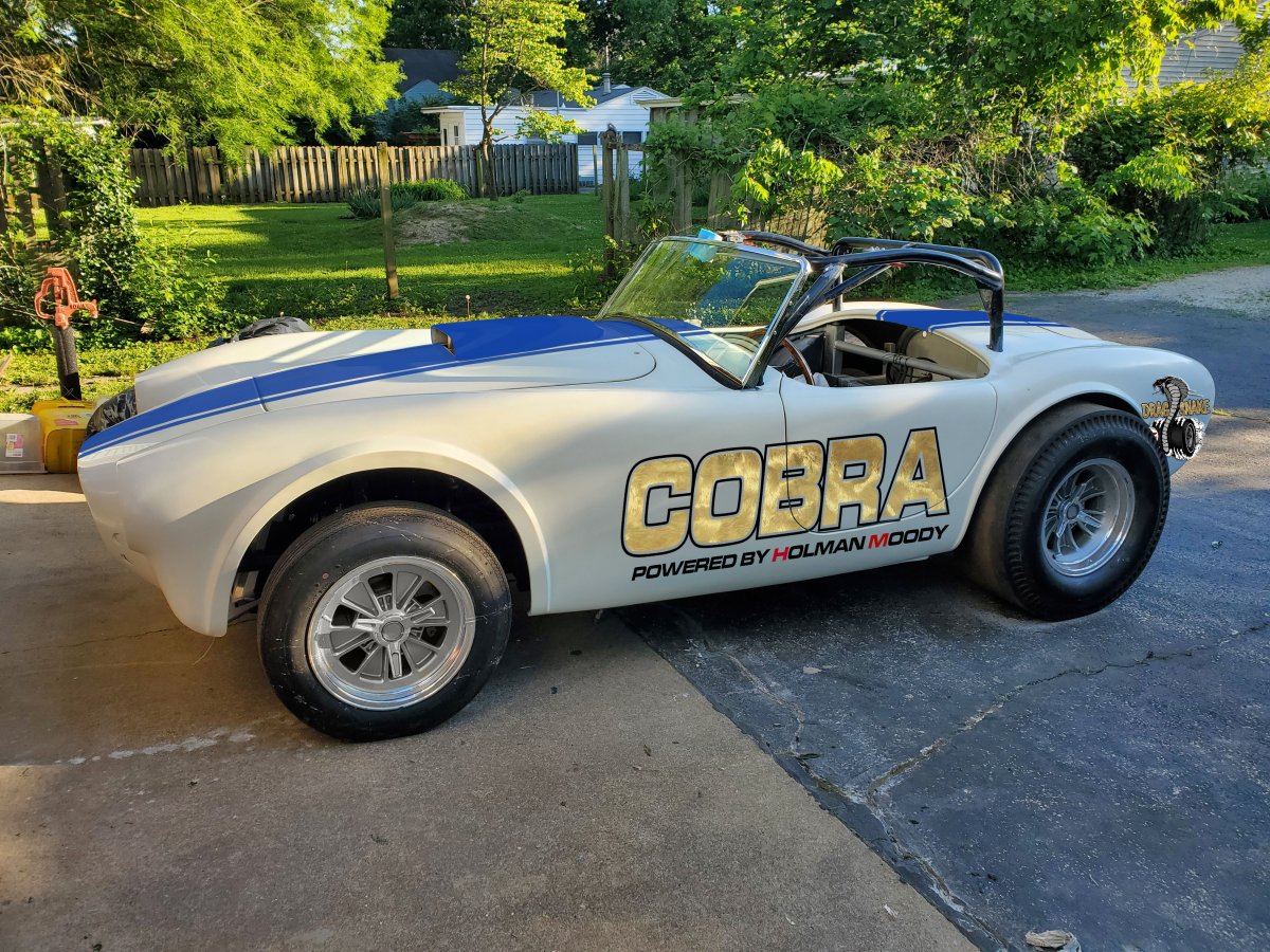 PlainCobra Blue.jpg