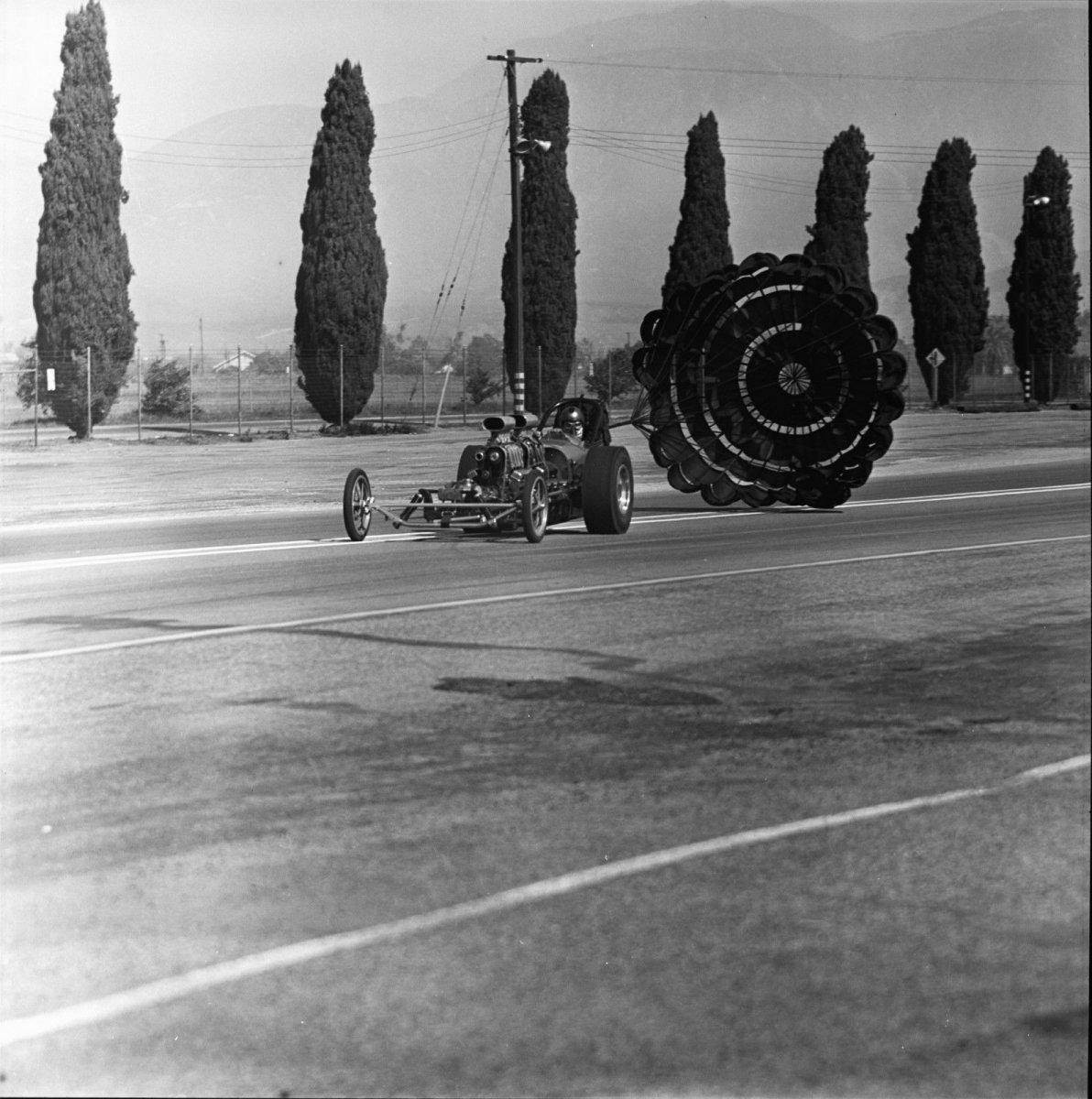 pomona1.jpg