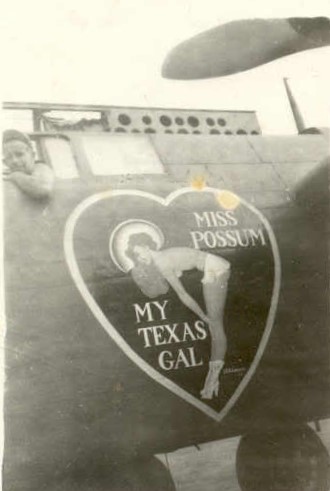 Possum.jpg