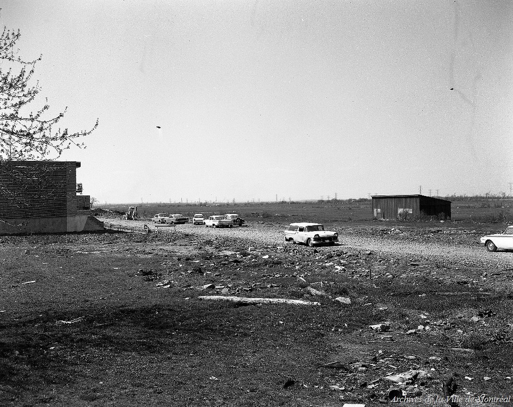 PQ-098.jpg
