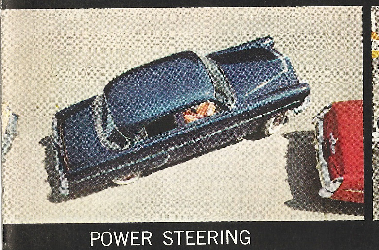 psteer.jpg