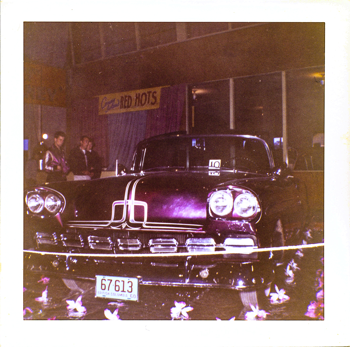 purple4 .jpg