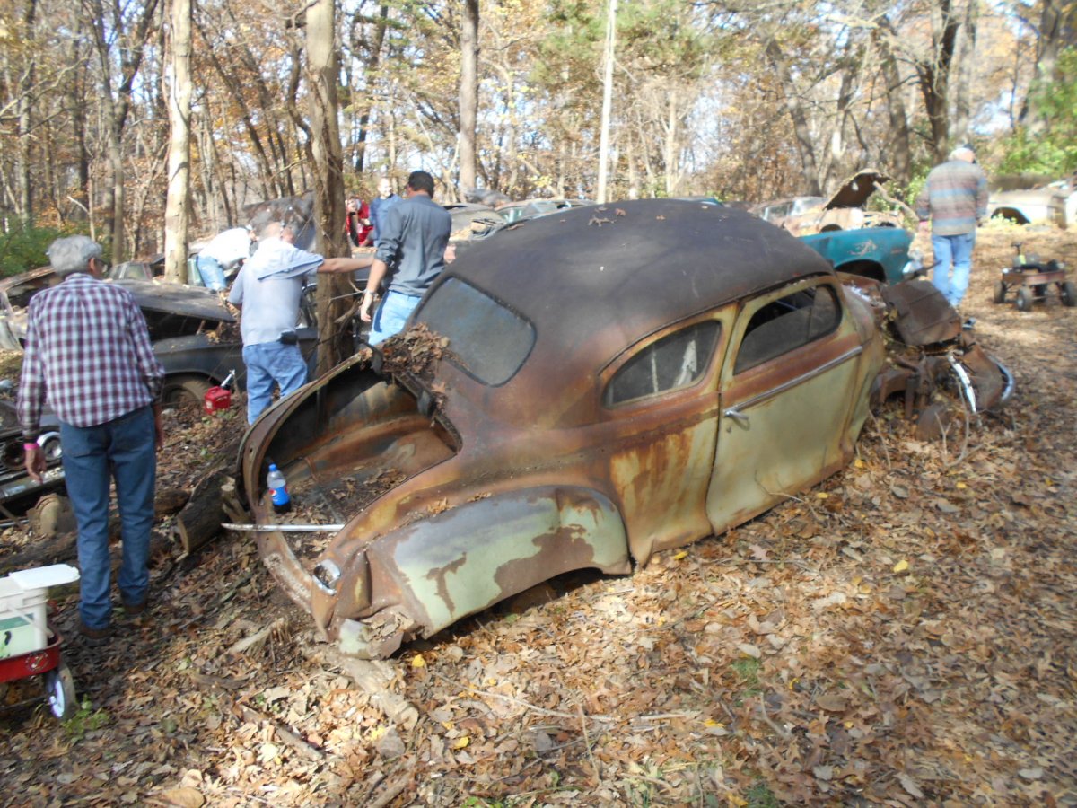 putnams yard 11-5-16 053.jpg