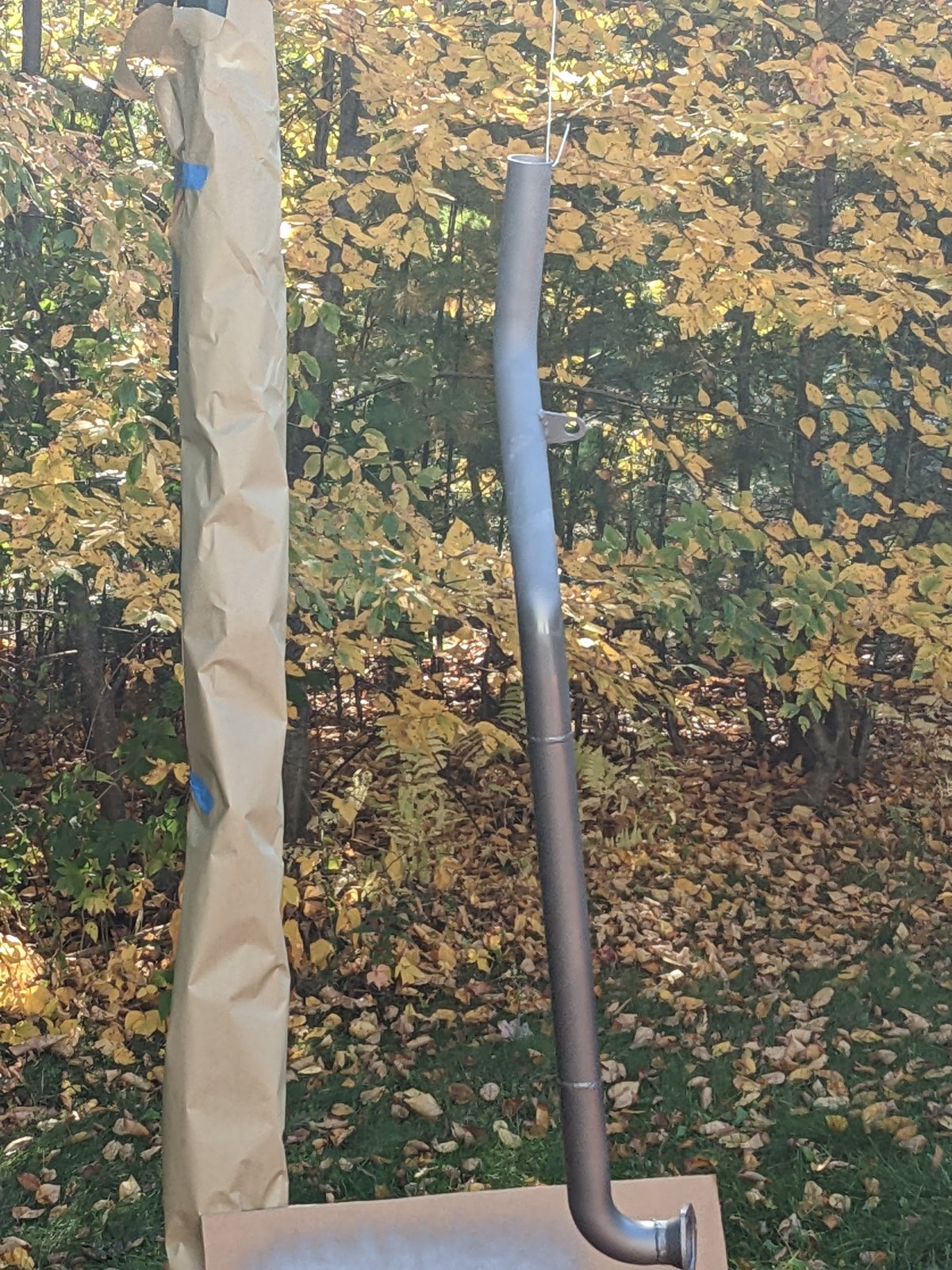 PXL_20221009_173155672.jpg