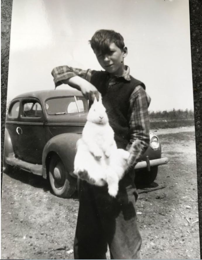 rabbit.JPG