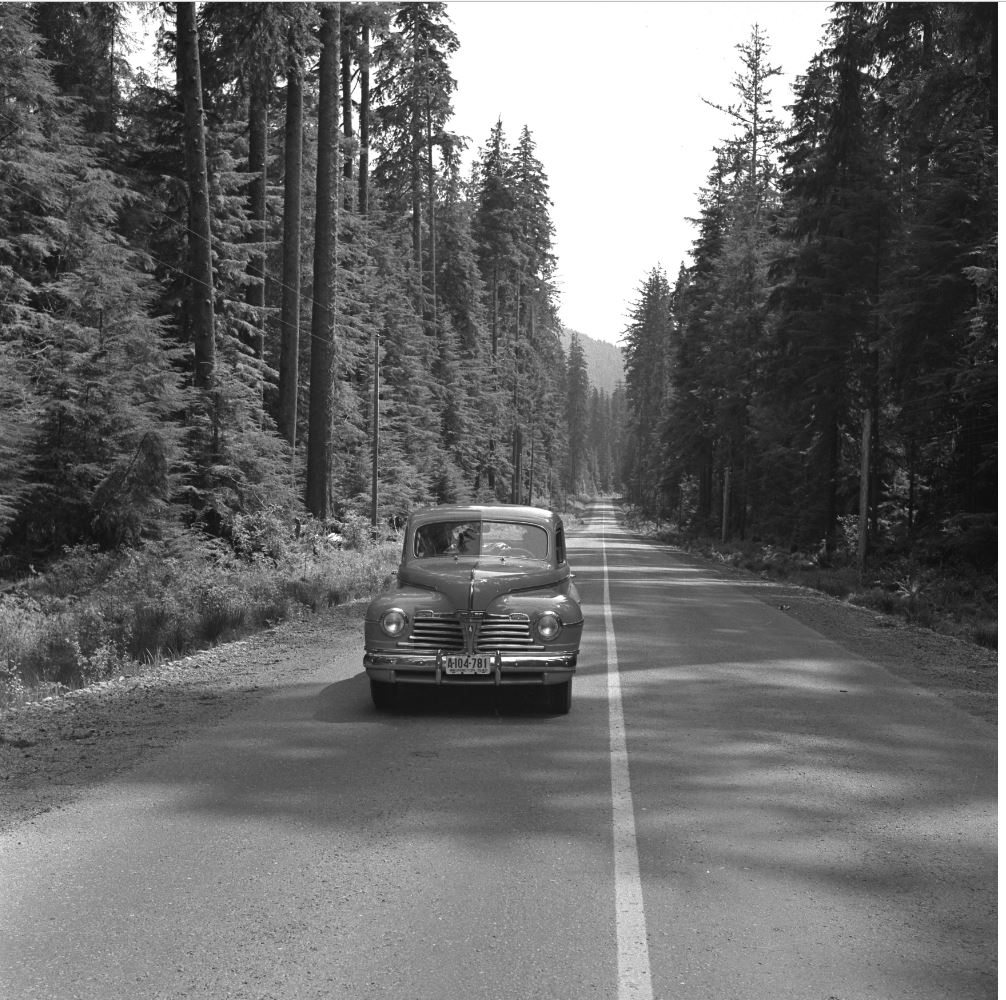 RainerHiway.JPG