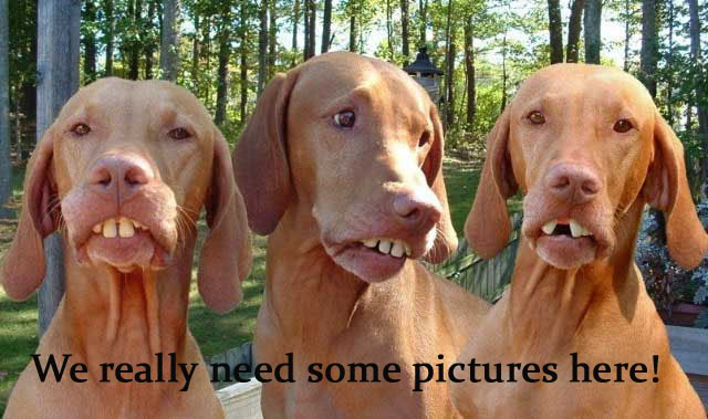 redneckdogswcaption.jpg