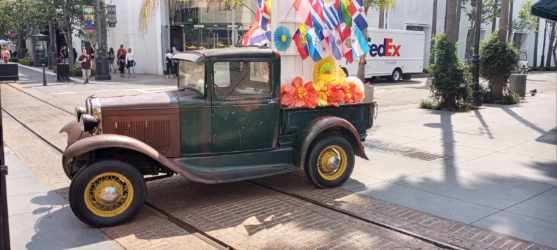 Resized_20230918_115816.jpeg