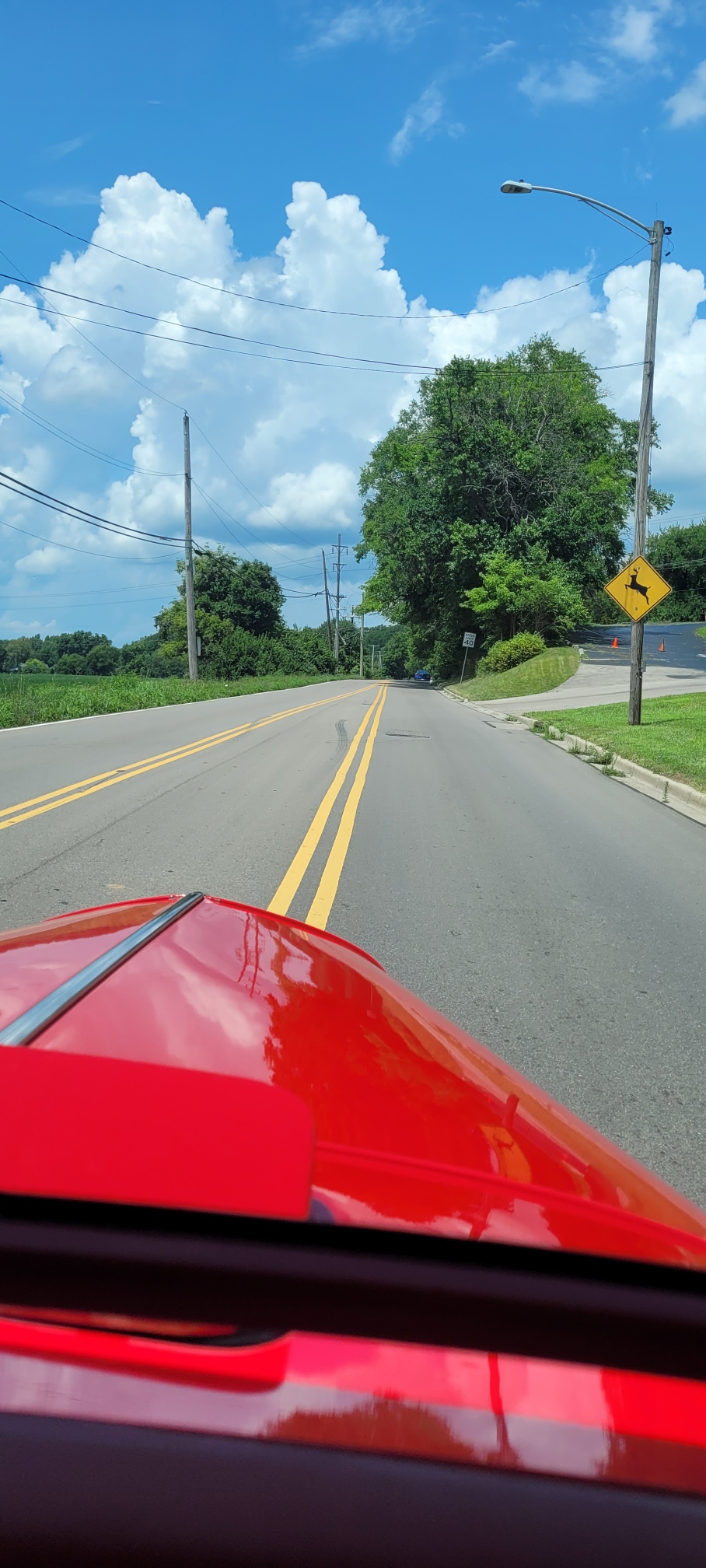 Resized_20250726_133414.jpeg