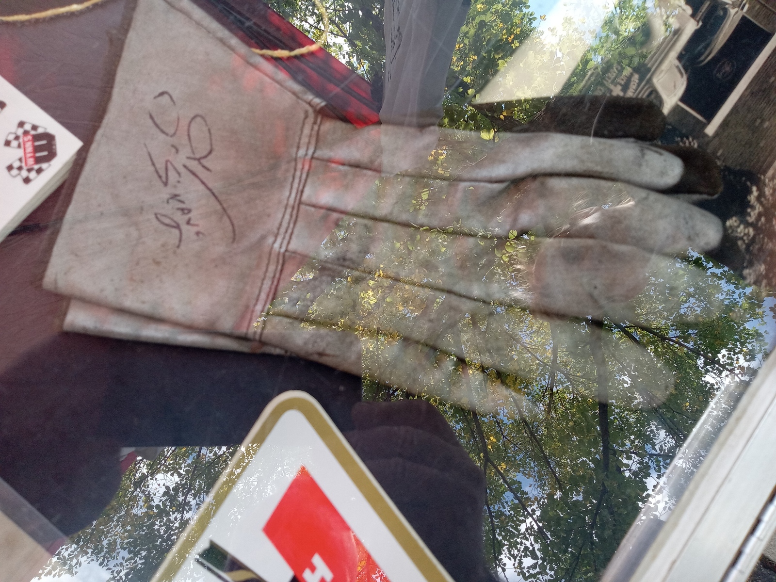 Resized_Resized_20231002_150536.jpeg