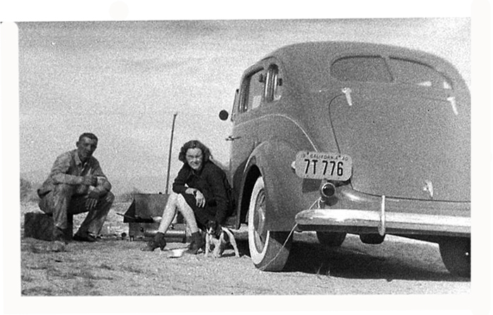 roadside.jpg