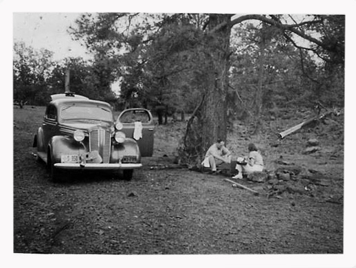 roadside.jpg