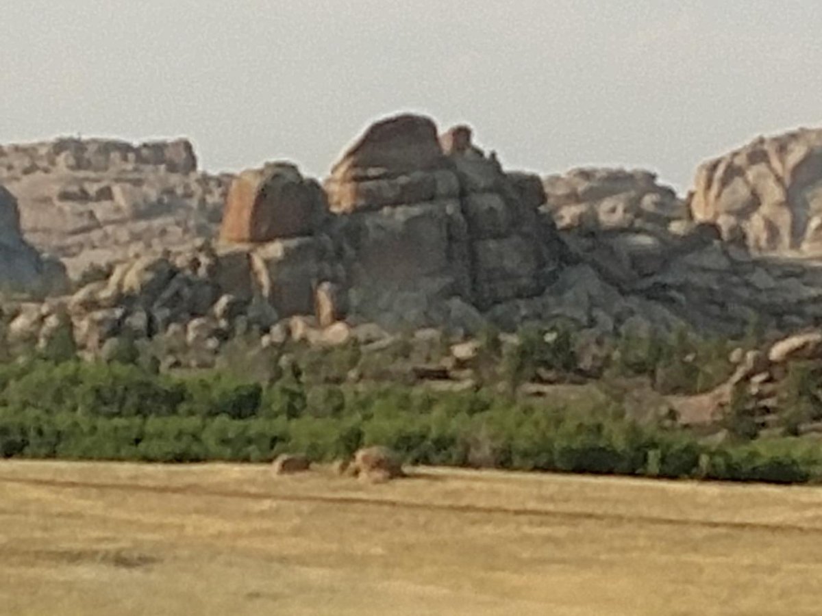 rps20180808_062612-2.jpg