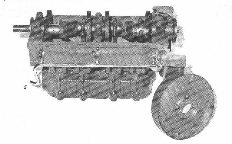 rufi-2.jpg