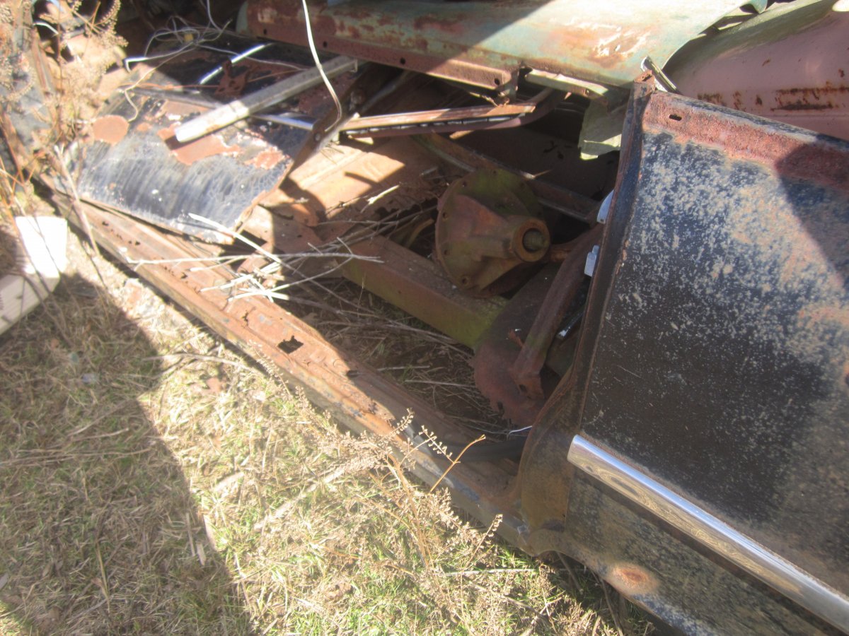 rusty 55 &56 019.JPG
