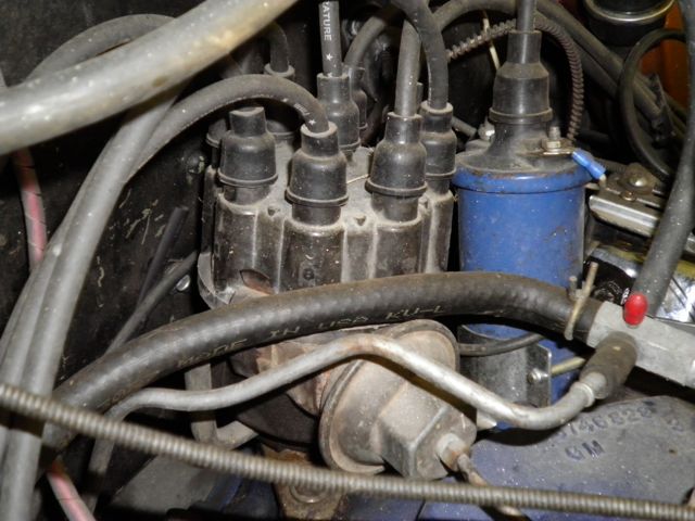 SANY0115.jpg