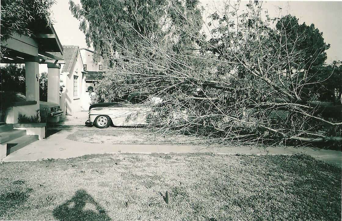 scan0039.jpg
