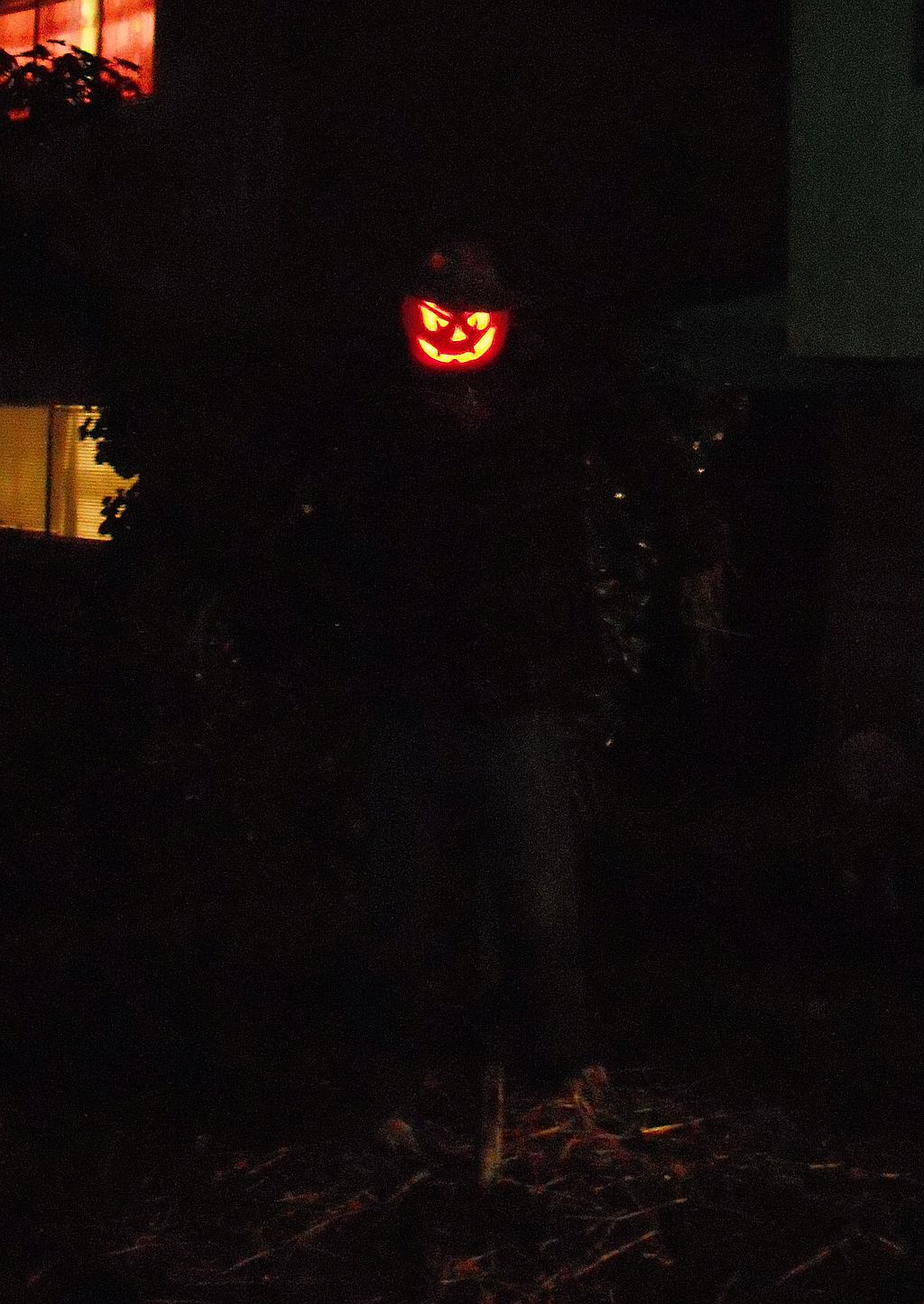 scarecrow 002.jpg