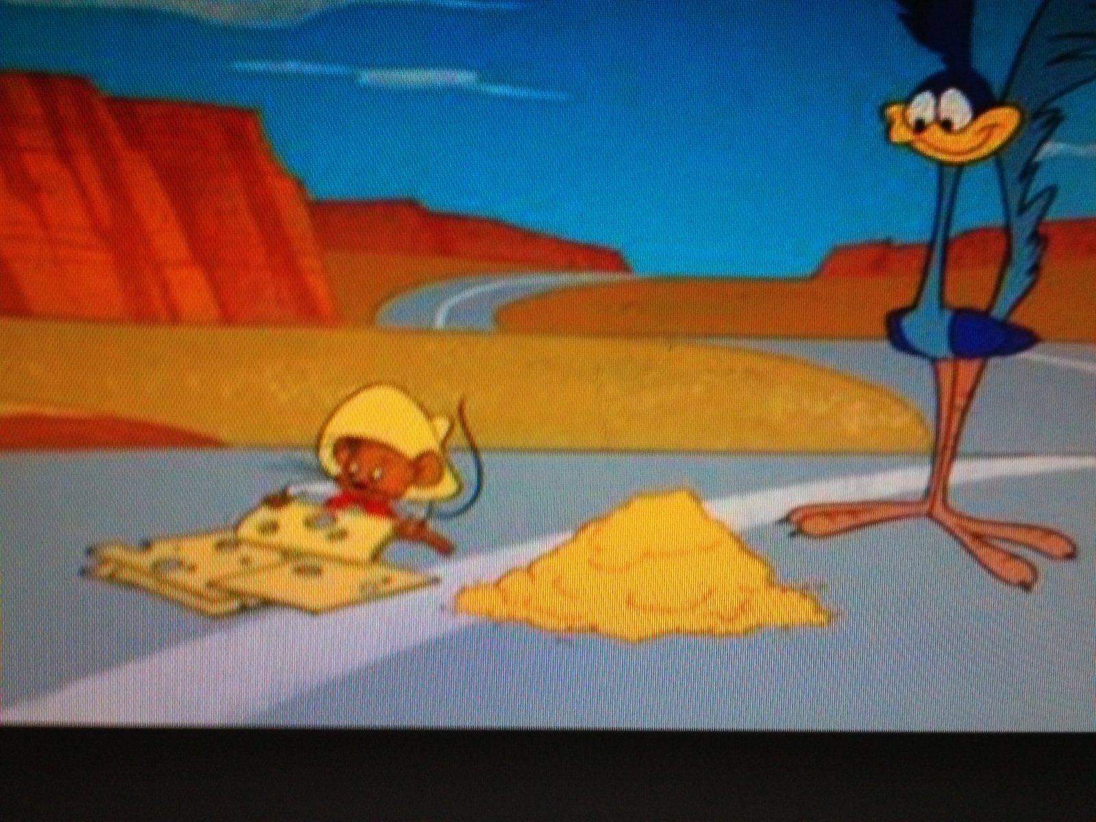 scotts mouse trap.JPG