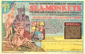 seamonkeys.jpeg