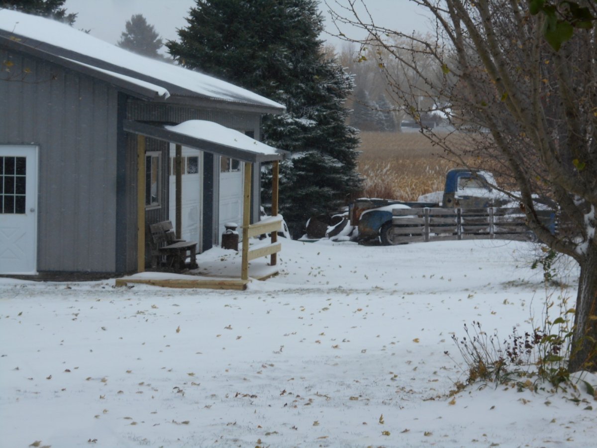 second snow 10-31-19 006.jpg