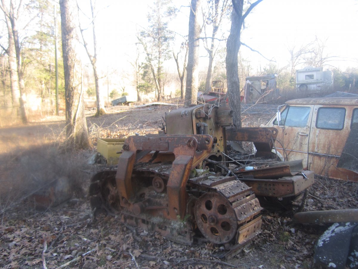 setting & rotting 001.JPG