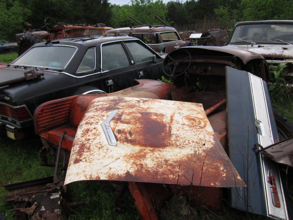 setting rotting 001.JPG