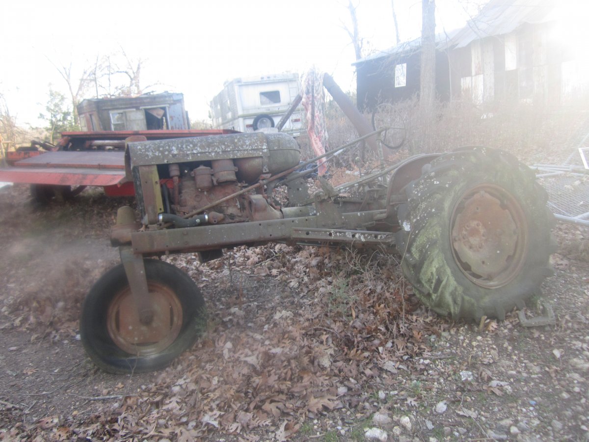 setting & rotting 002.JPG