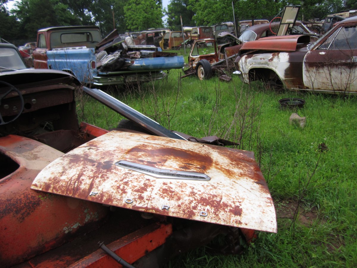 setting rotting 002.JPG