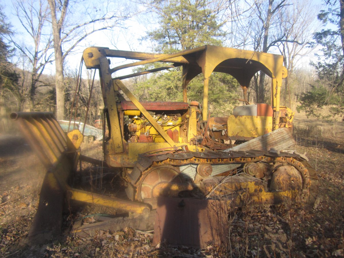 setting & rotting 003.JPG