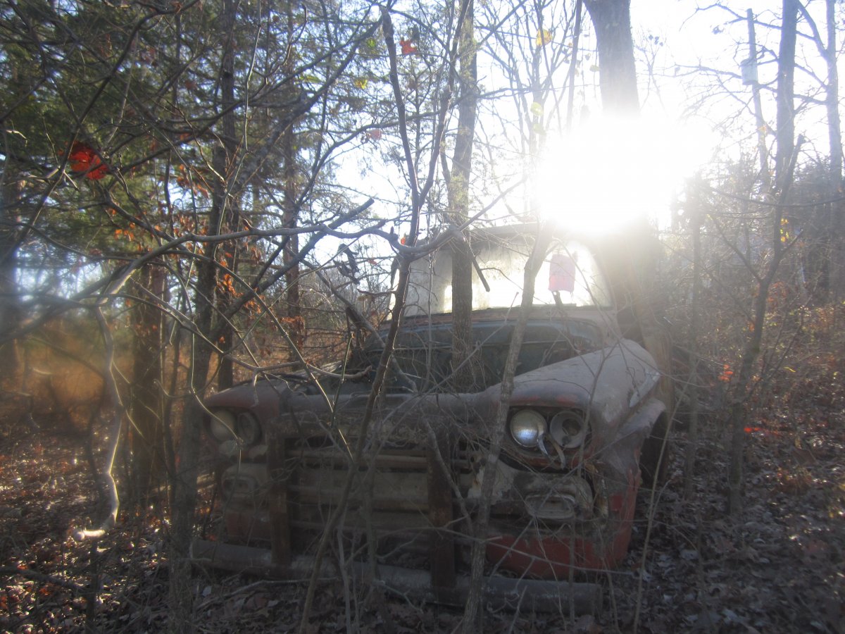 setting & rotting 004.JPG
