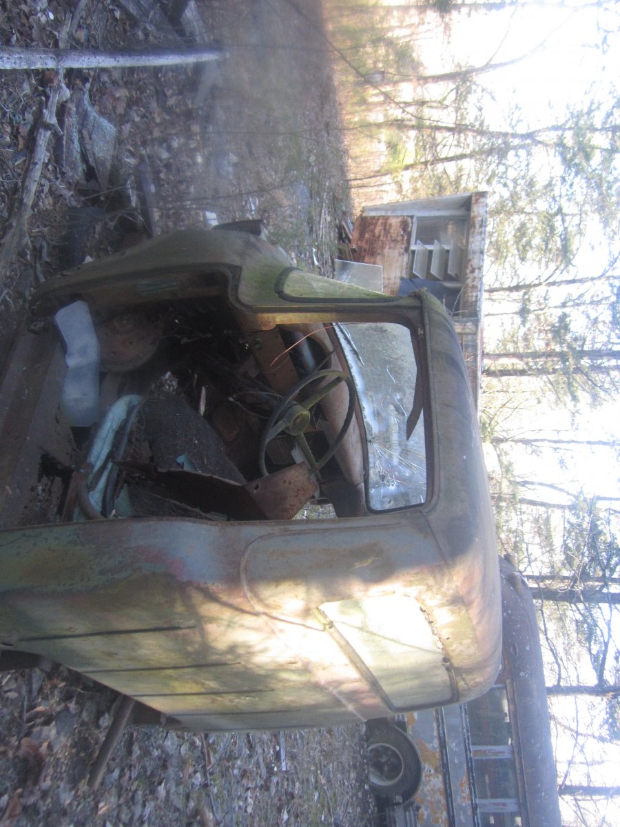 setting & rotting 010.JPG