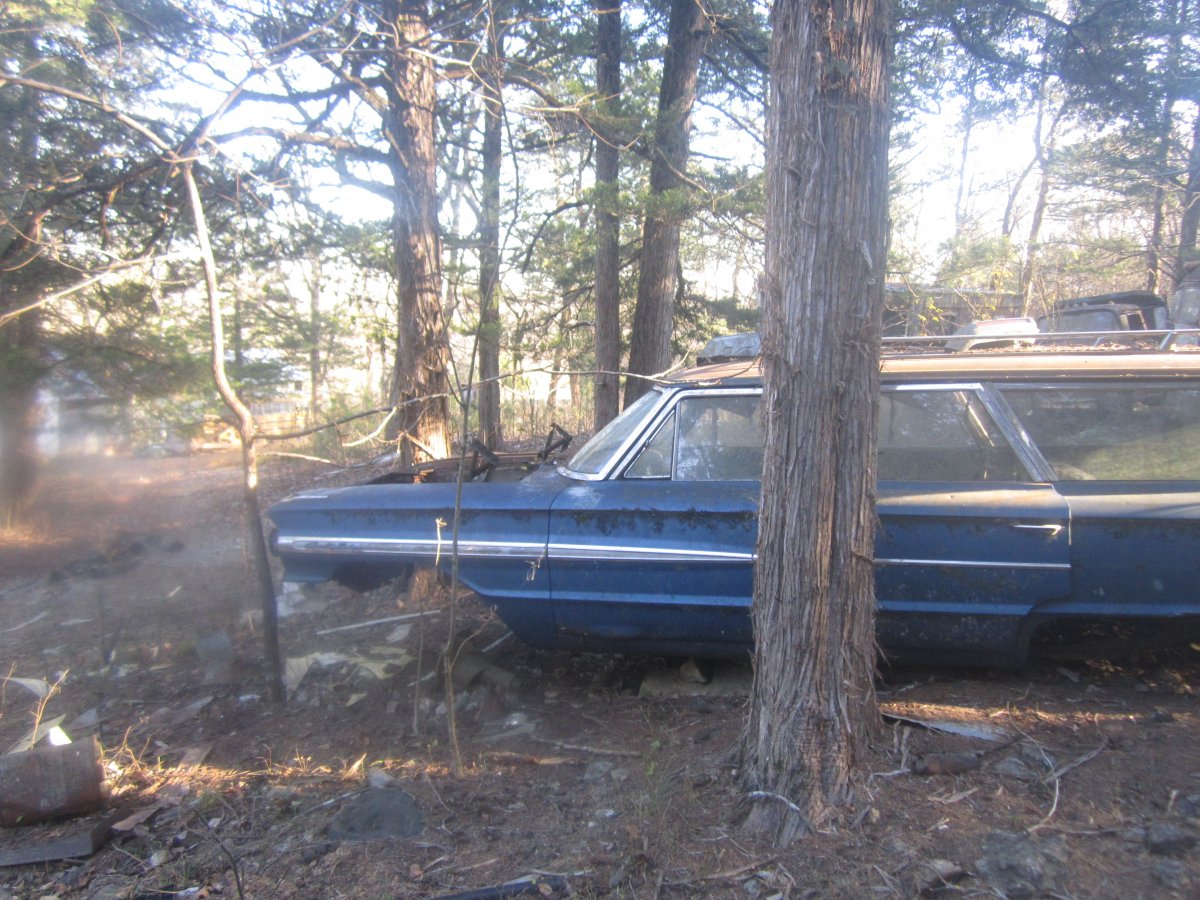 setting & rotting 011.JPG