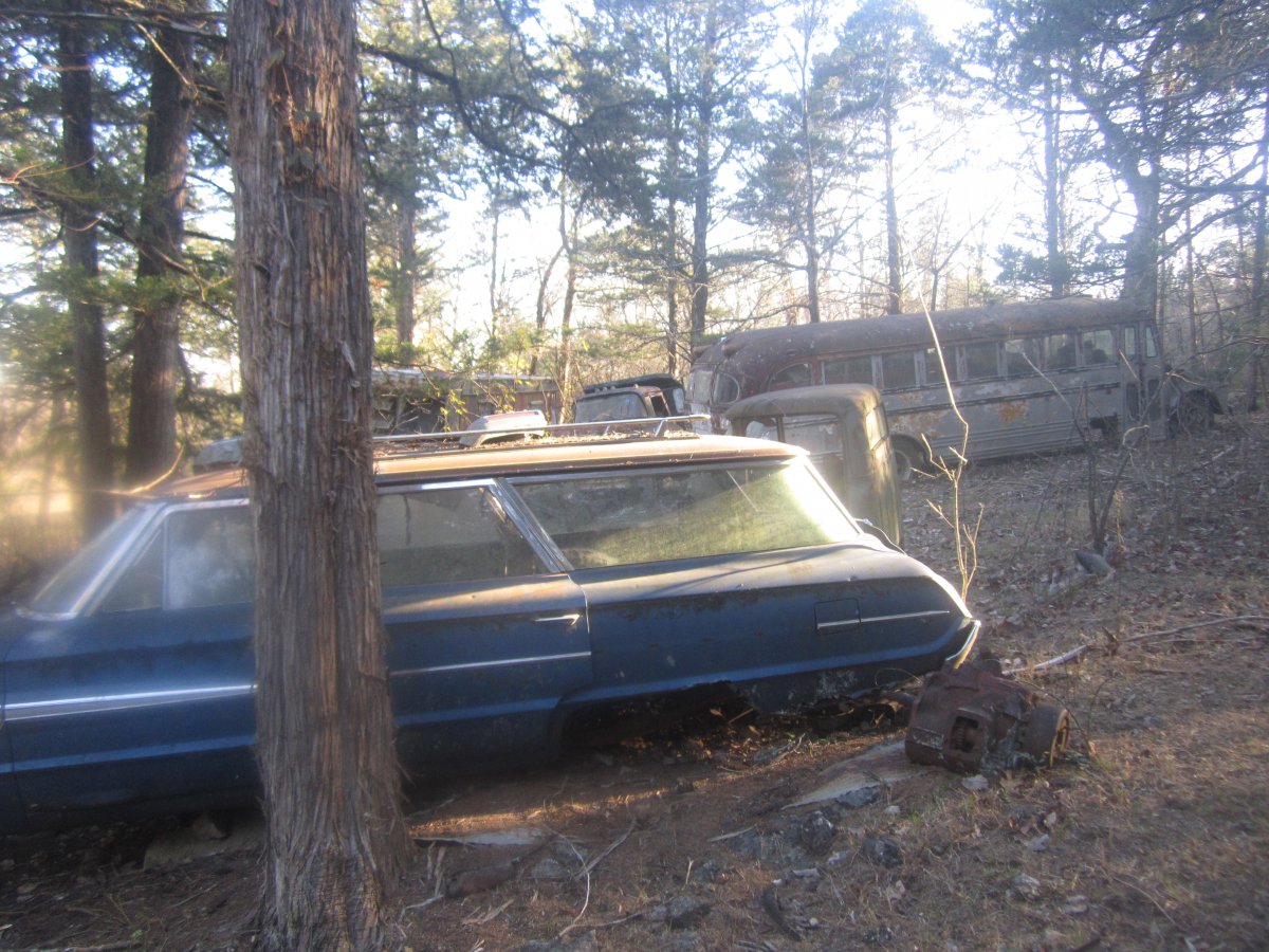 setting & rotting 012.JPG