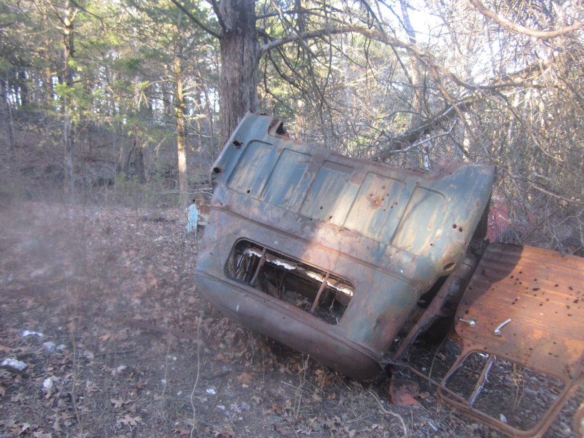 setting & rotting 014.JPG