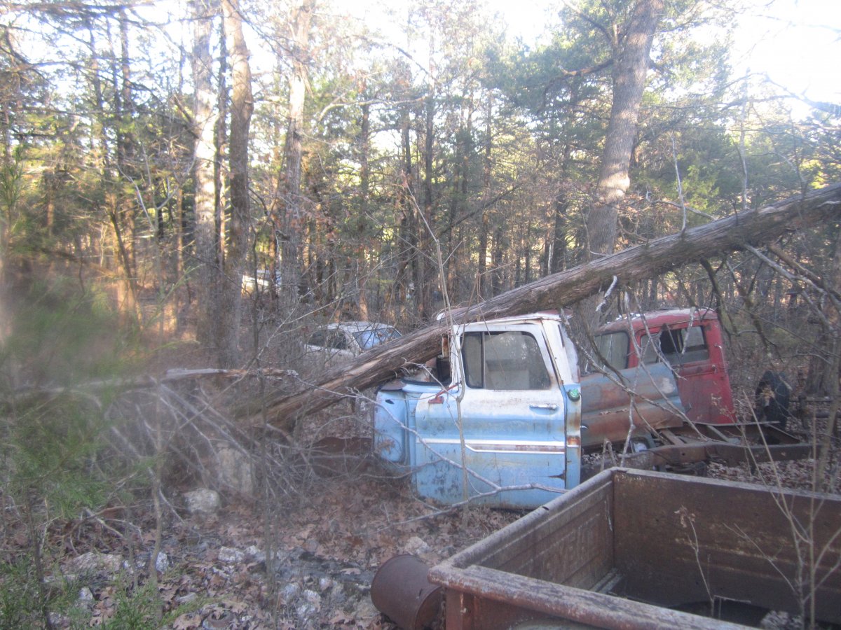 setting & rotting 016.JPG