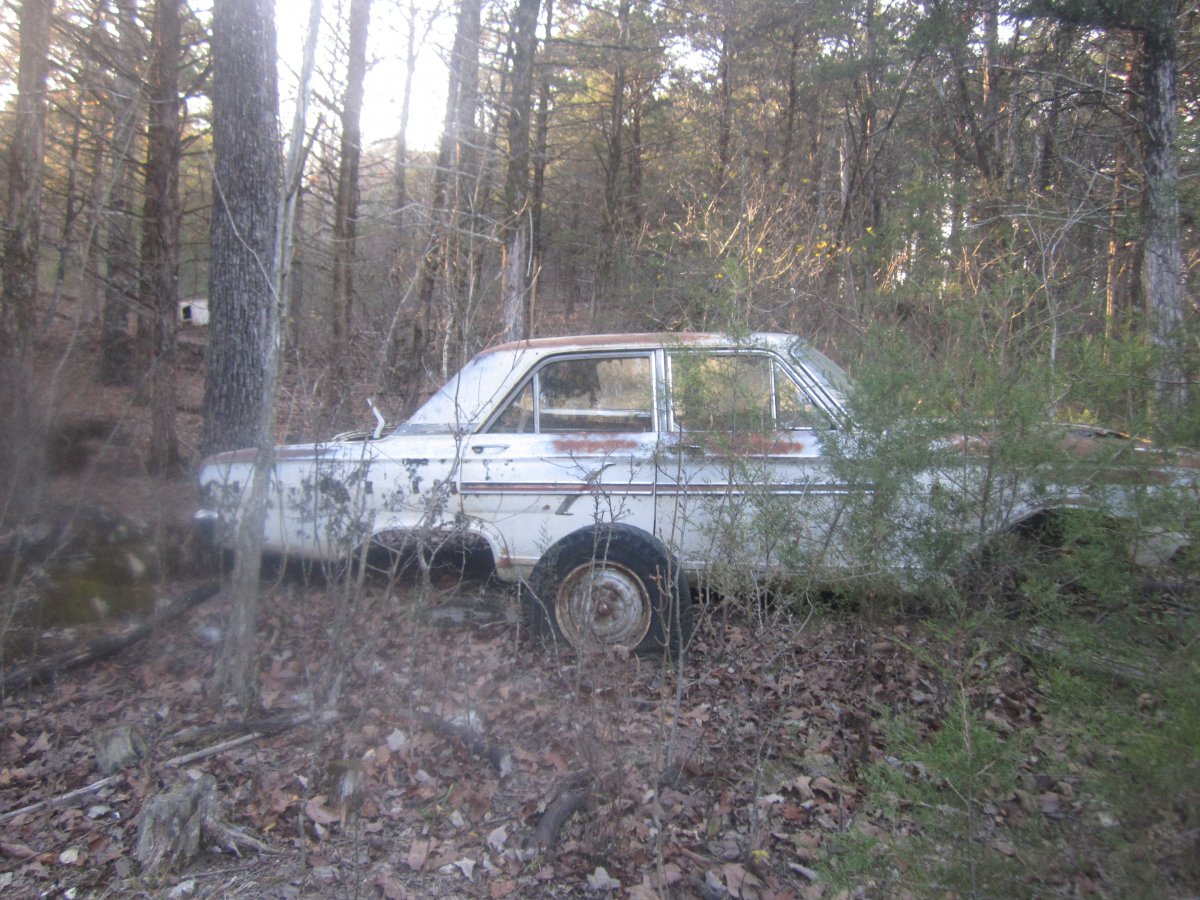 setting & rotting 021.JPG