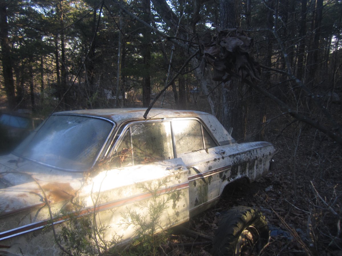 setting & rotting 022.JPG
