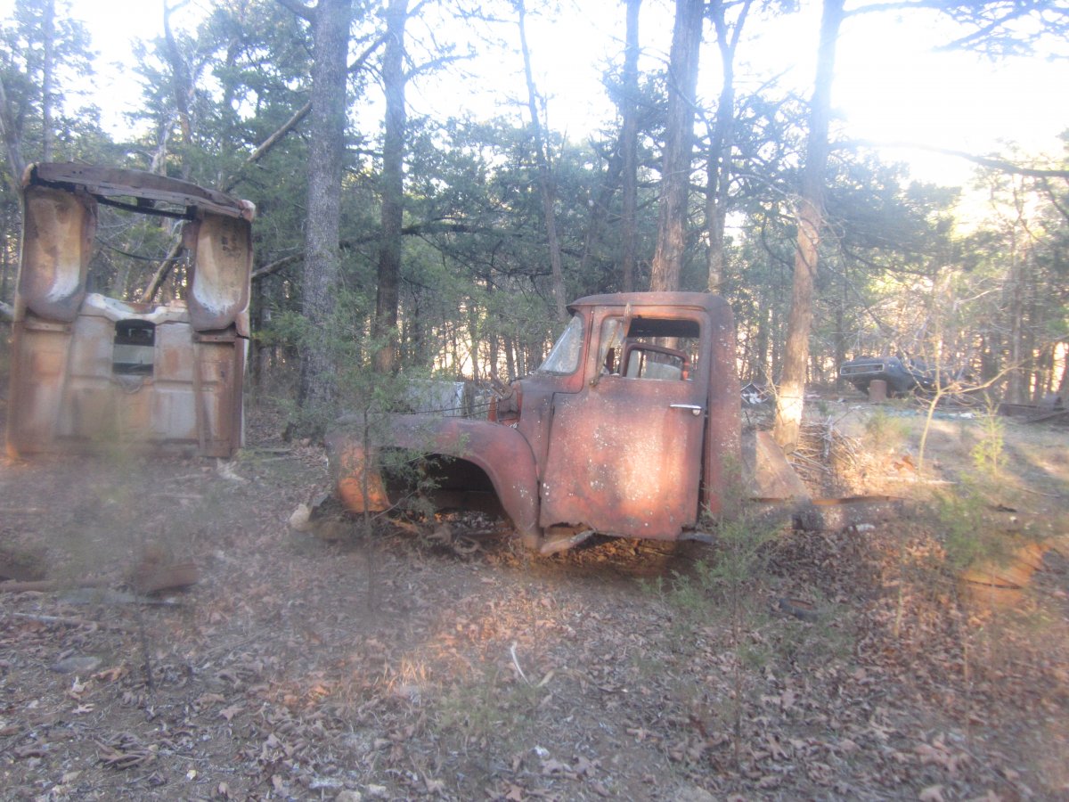 setting & rotting 023.JPG