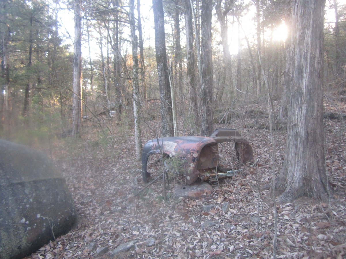 setting & rotting 025.JPG