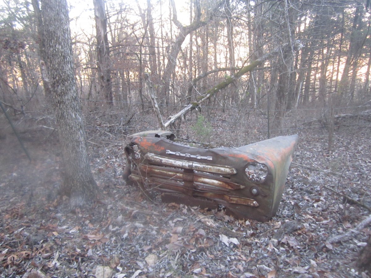 setting & rotting 028.JPG