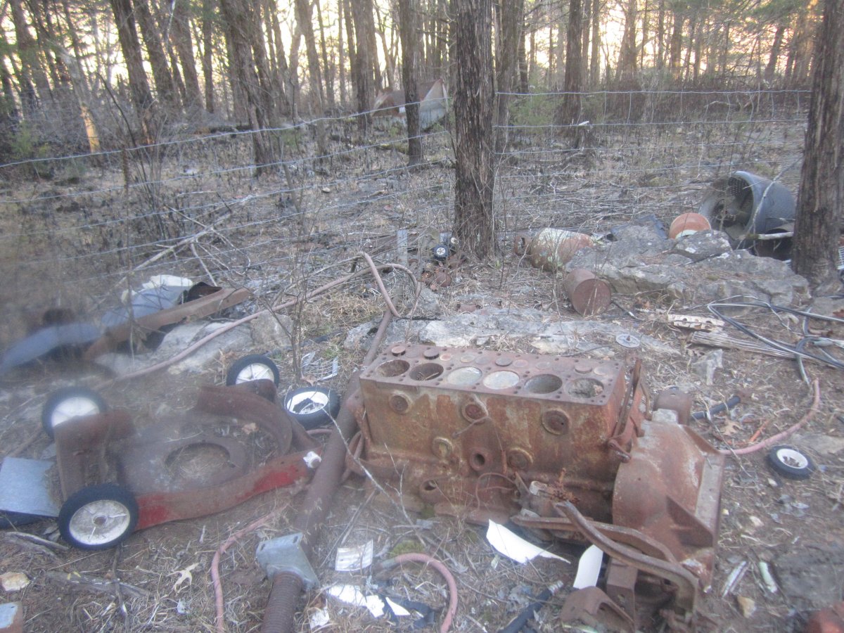 setting & rotting 029.JPG