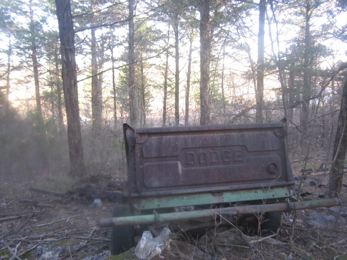 setting & rotting 030.JPG